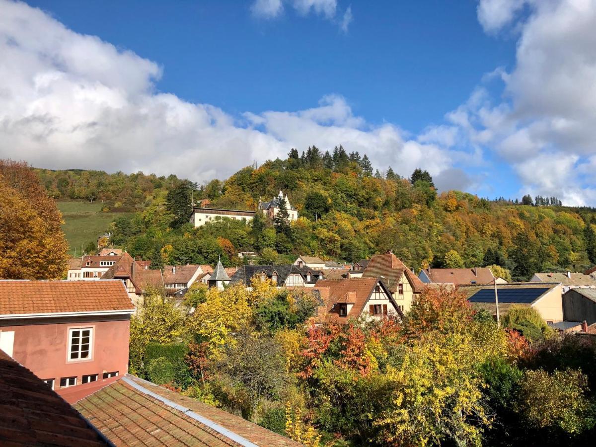 سانت-ماري-أو-مين B&B La Cle D'Alsace المظهر الخارجي الصورة